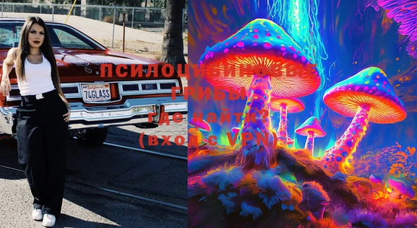 стаф Бугульма