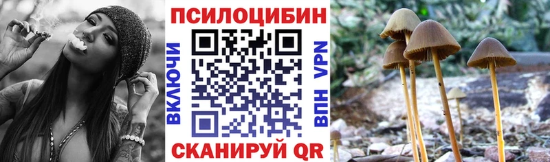 Галлюциногенные грибы мицелий  Киреевск 